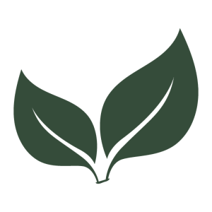 Sprout Health logo